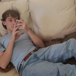 Australian Terrier and Cairn Terrier All Grown Up from Cedar Forrest Terriers LLC (Cairns & Australian Terriers)