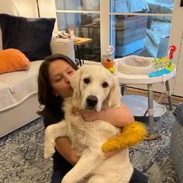 Golden Retriever Puppies from Mountain Laurel Goldens