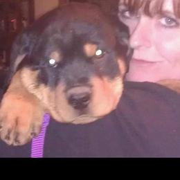 German Shepherd and Rottweiler Puppies from Irish Eyes Von Donahue