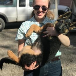 German Shepherd Puppies from Oregon German Shepherds