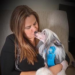 Chinese Crested and Mi-Ki Puppies from Elegant Tiny Paws
