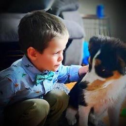 Australian Shepherd Puppies from Amazing Aussie’s