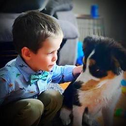Australian Shepherd Puppies from Amazing Aussie’s