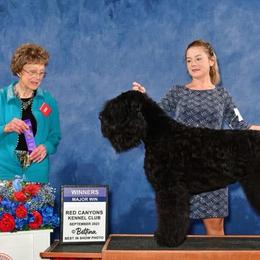 Black Russian Terriers from Bayou Black Russians