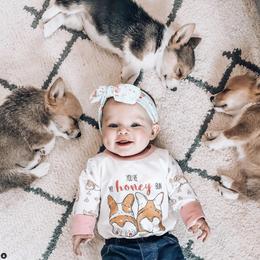 Pembroke Welsh Corgi Puppies from Lucky Pups Corgis