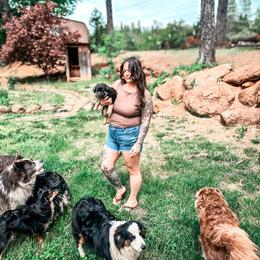 Miniature American Shepherd and Miniature Australian Shepherd Puppies from Whiskeytown Aussies