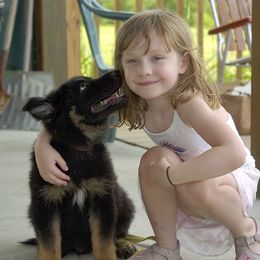 German Shepherd Puppies from Von Lindesfarne