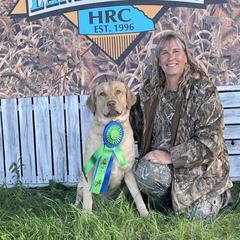 Murtaugh - Chesapeake Bay Retriever