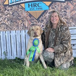 Murtaugh - Chesapeake Bay Retriever