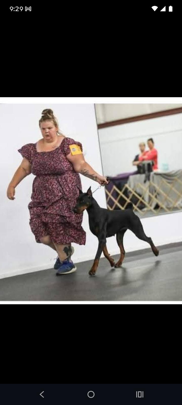 Gemma