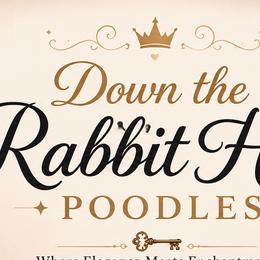 Poodles from Down The Rabbit Hole Poodles