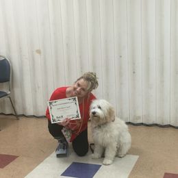 Goldendoodle Puppies from Seventh Heaven Goldendoodles
