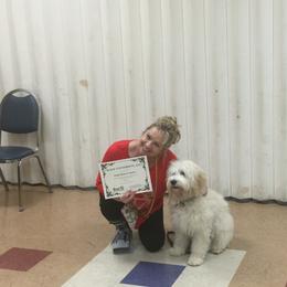 Goldendoodle Puppies from Seventh Heaven Goldendoodles