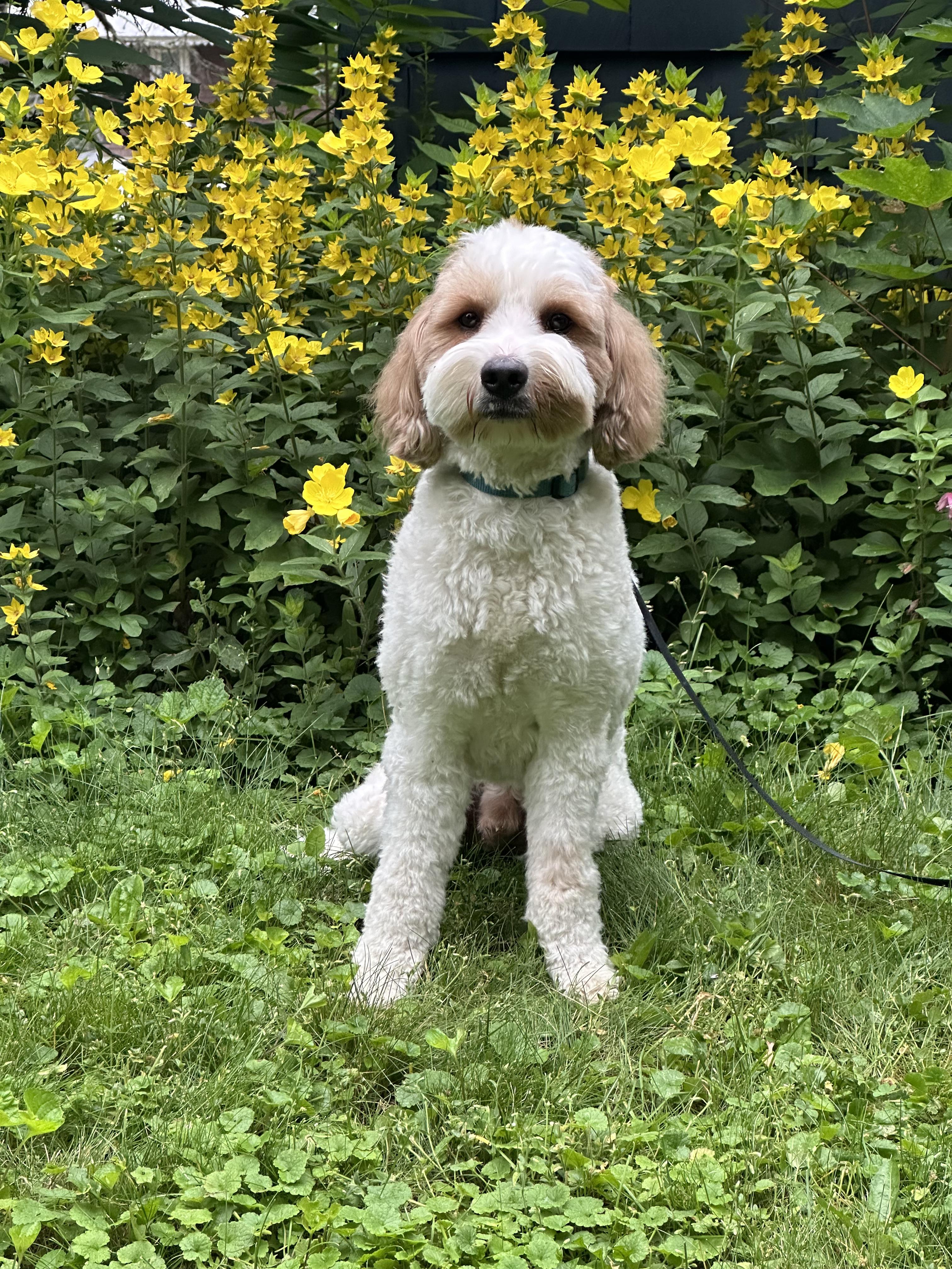 George