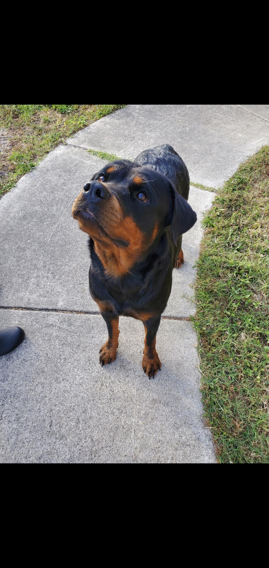 Ellie