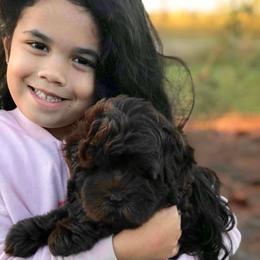 Labradoodle Puppies from Rainbow Row Labradoodles, LLC