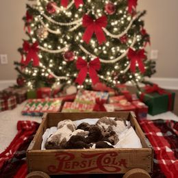 Labradoodle puppies from Maple Bakin’ Doodles