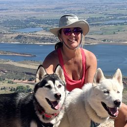 Siberian Huskies from Loveland Siberian Huskies