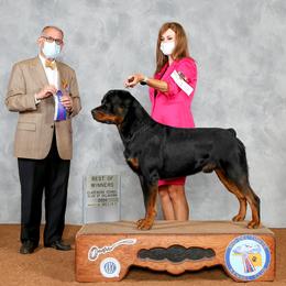 Cramer - Rottweiler