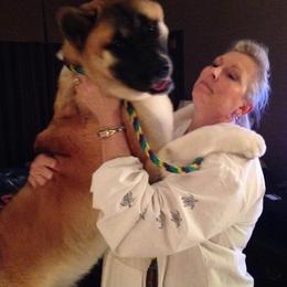 Akita All Grown Up from Shinto Akitas