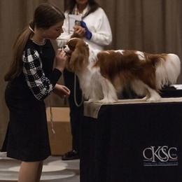 Cavalier King Charles Spaniel All Grown Up from KINGDOMRUN Cavaliers