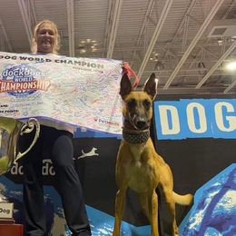 Lurchers from MC Lurchers