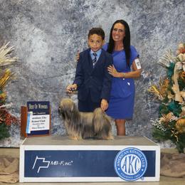 Lhasa Apso, Maltese, and Poodle All Grown Up from Toy Poodle and Maltese Perfection