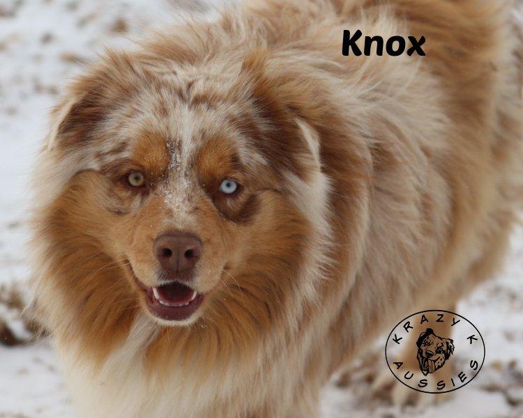 Knox