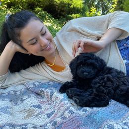 Australian Labradoodle Puppies from Tiny Treasures Australian Labradoodles