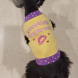 Miniature Schnauzer Puppies from Dees Schnauzers