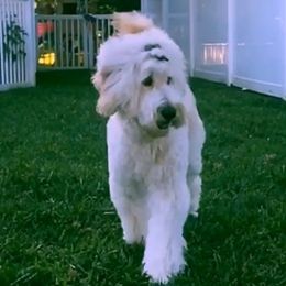 Maizey Grace  - TBD