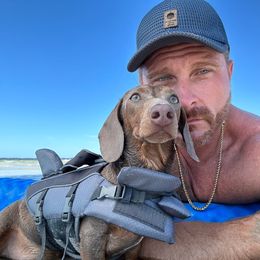 Isabella - Dachshund