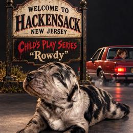 Child's Play Series - Merle male Goldendoodle puppy in Houston, Texas from Were The Mack'Doodles Mack’Poodles