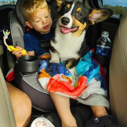 Pembroke Welsh Corgi Puppies from McMillion Corgis