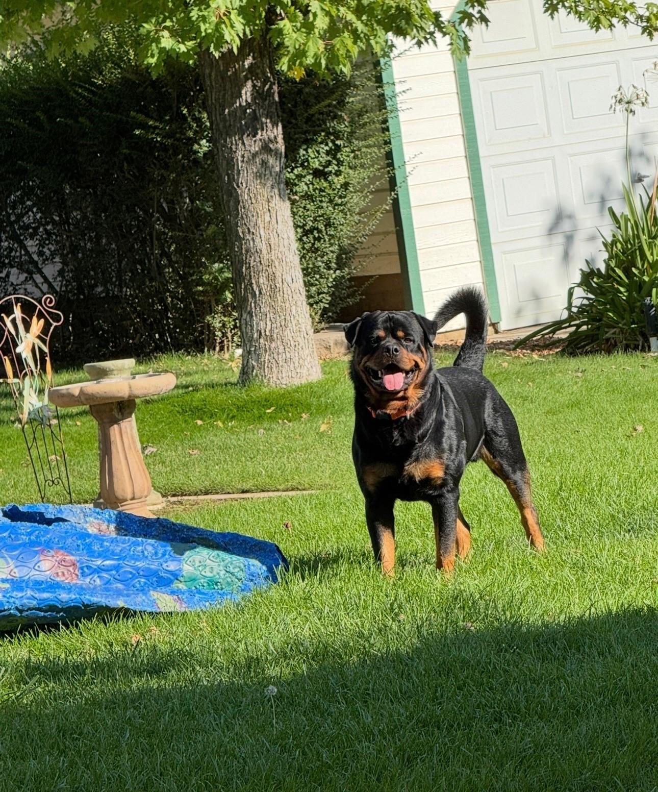 Carlos