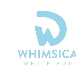 Pugs from Whimsical White Pugs