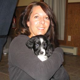 English Springer Spaniel Puppies from Whisky River Gun Dogs