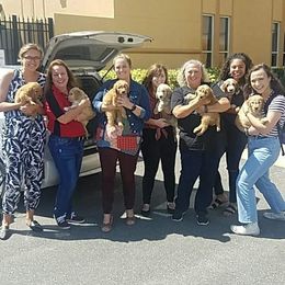  Puppies from Rolling Oak Doodles