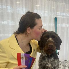 German Wirehaired Pointers from Humdinger Kennel