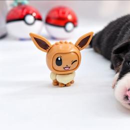 Geodude - Black tri-color male Australian Shepherd puppy in Riverside, California from Aus Cal (Aussies of soCal)