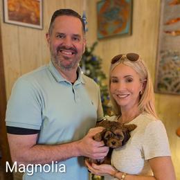 Magnolia - Sable female Cockapoo puppy in Sunset, Louisiana from Cano Cockapoos