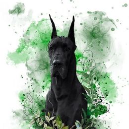 Hela - Great Dane