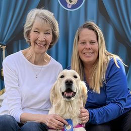 Rosie - Golden Retriever