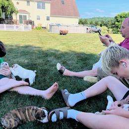 Bulldog Puppies from Tonya Clouser