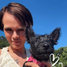 Ainsley - Black female Scottish Terrier puppy in Mancelona, Michigan from Stefany Farm of Happiness