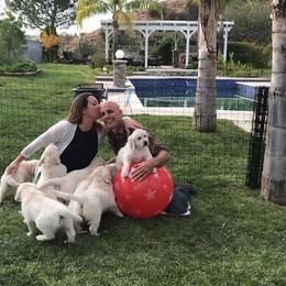 Golden Retriever Puppies from Lakeside Golden Retrievers