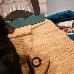 Havanese Puppies from Sweet Southern Havanese