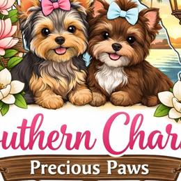 Morkies and Yorkshire Terriers from Southern Charm Precious Paws