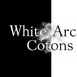 Coton de Tulear Puppies from White Arctic Cotons
