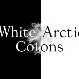 Coton de Tulear Puppies from White Arctic Cotons